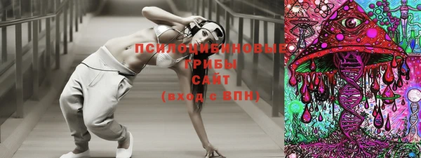 дурь Балахна
