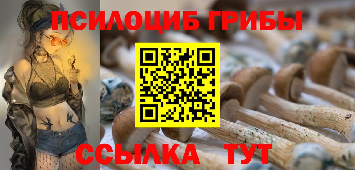 Галлюциногенные грибы Psilocybine cubensis Бор